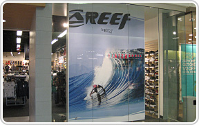 REEF DISPLAY